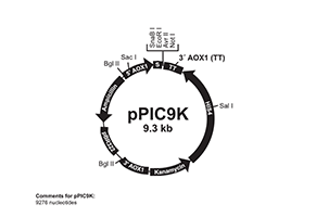 ppic9k_map