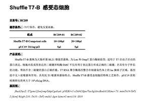 ShuffleT7-B 感受态细胞