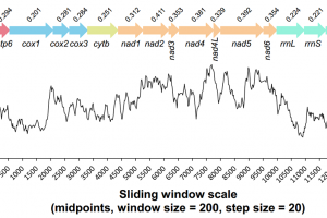 A311-sliding_window